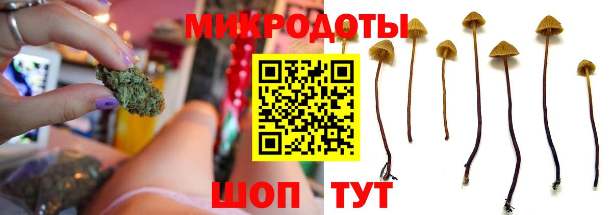 Псилоцибиновые грибы прущие грибы Ленинск-Кузнецкий